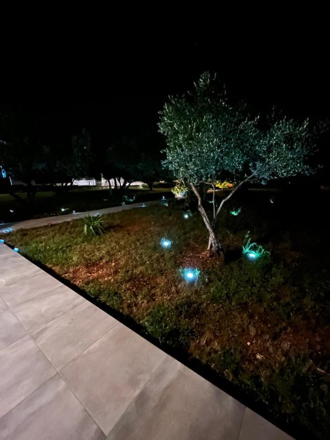 Apartman Oliva Zadar Dış mekan fotoğraf